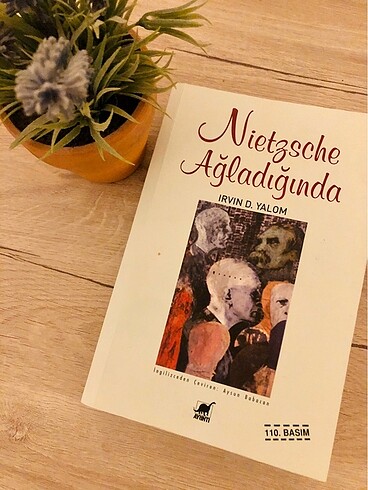 Nietzche Ağladığında