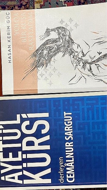 Ayetel kürsi ve yolda bir kuşa rastladıö