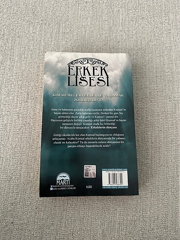 Erkek Lisesi - Bengisu Sıla Gürbüz - Görsel 2