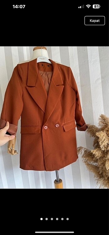 Blazer ceket