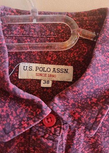 U.s polo asnn kadın gomlek