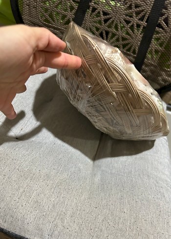 Renkli Deniz Kabuğu Dekoratif Obje - Görsel 2