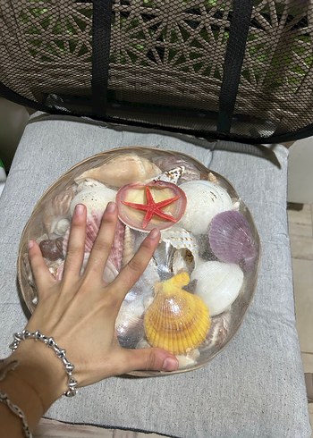 Renkli Deniz Kabuğu Dekoratif Obje - Görsel 4