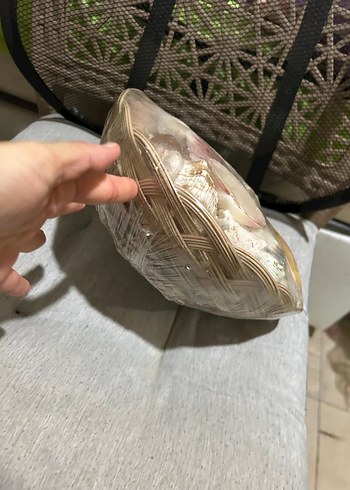 Renkli Deniz Kabuğu Dekoratif Obje - Görsel 3