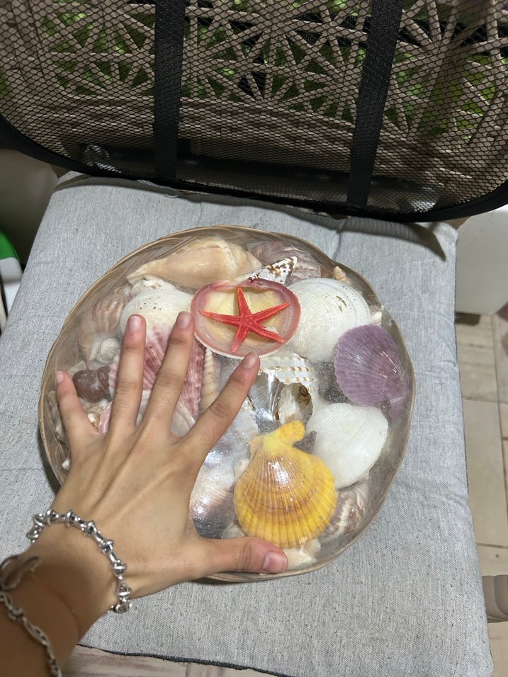 Renkli Deniz Kabuğu Dekoratif Obje - Görsel 4