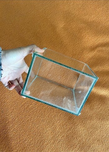 Beta akvaryum - Görsel 6