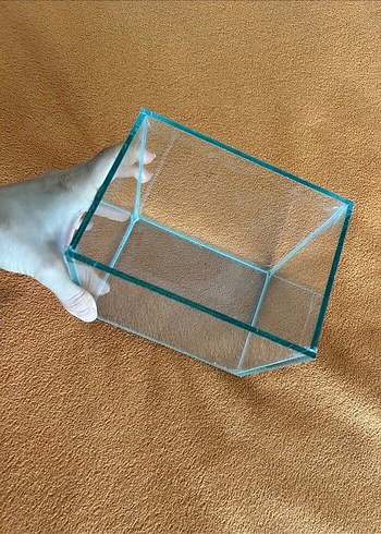 Beta akvaryum - Görsel 4