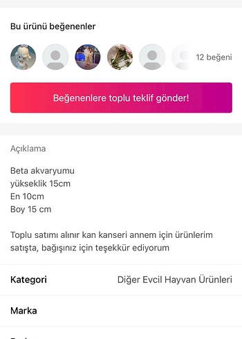 Beta akvaryum - Görsel 7