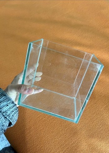 Beta akvaryum - Görsel 2