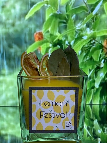 Lemon festival mum
