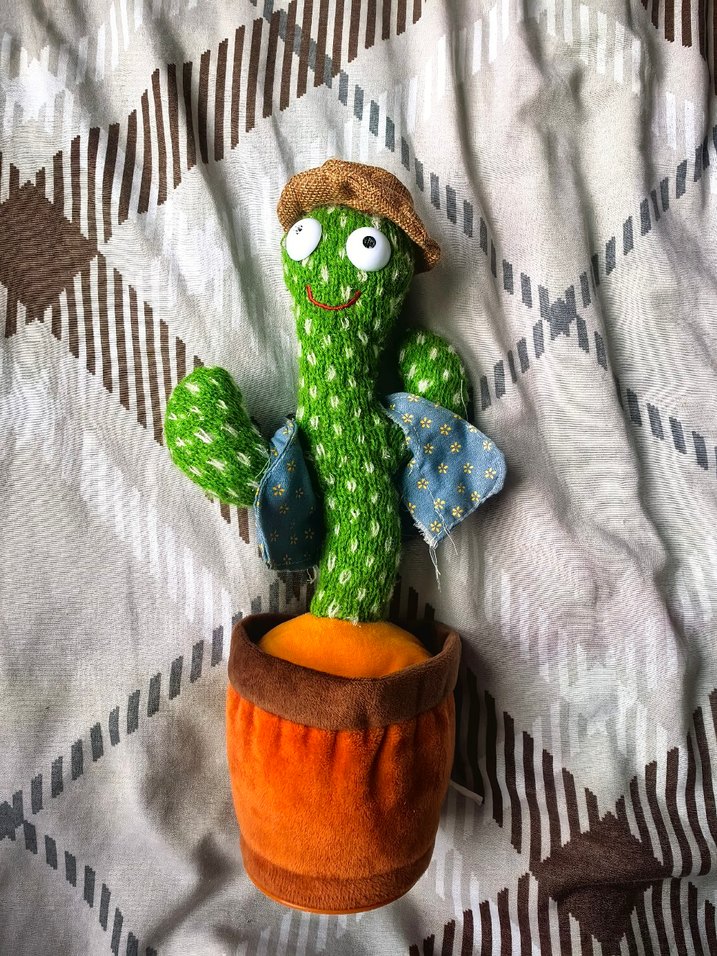 Renkli Müzikli Kaktüs Oyuncak - Görsel 4