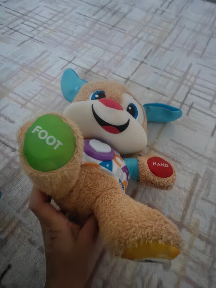 Renkli Eğitici Peluş Köpek Oyuncak - Görsel 4