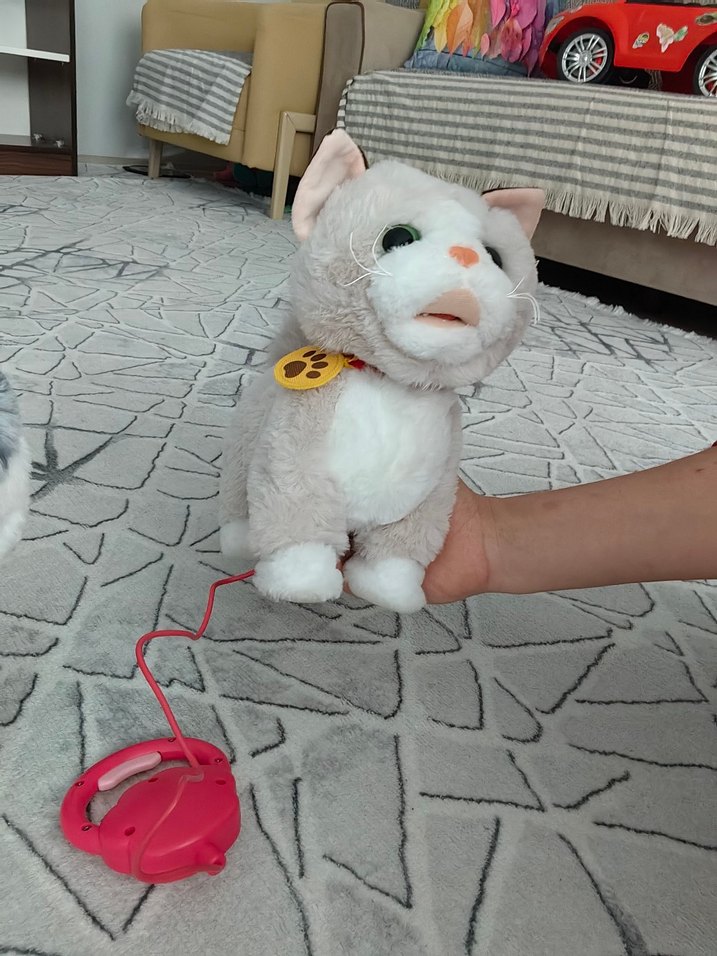 Bej-beyaz yürüyen tasmalı kedi - Görsel 5