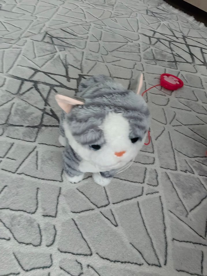 Gri Peluş Kedi Oyuncakları - Görsel 4