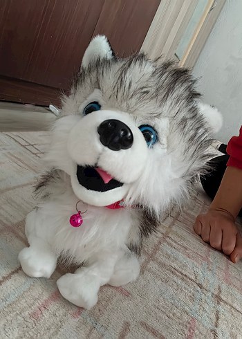 Gri Husky zıplayan Oyuncak - Görsel 2