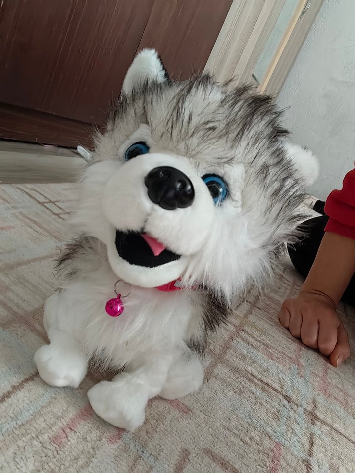 Gri Husky zıplayan Oyuncak - Görsel 2