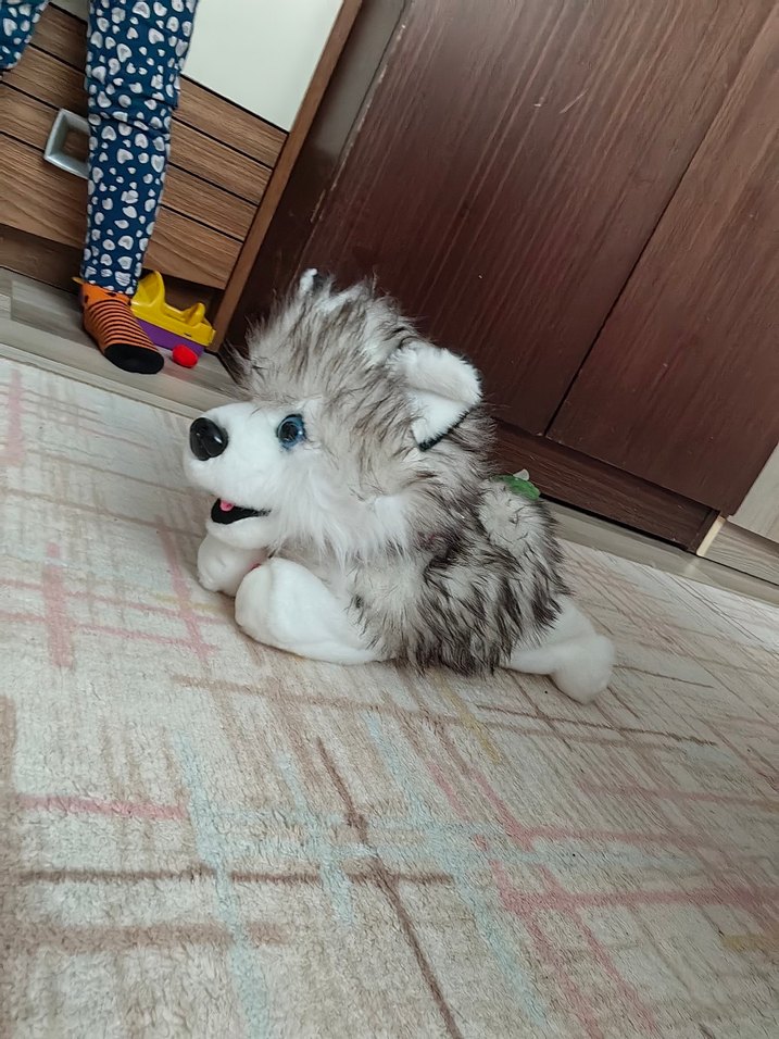 Gri Husky zıplayan Oyuncak - Görsel 4