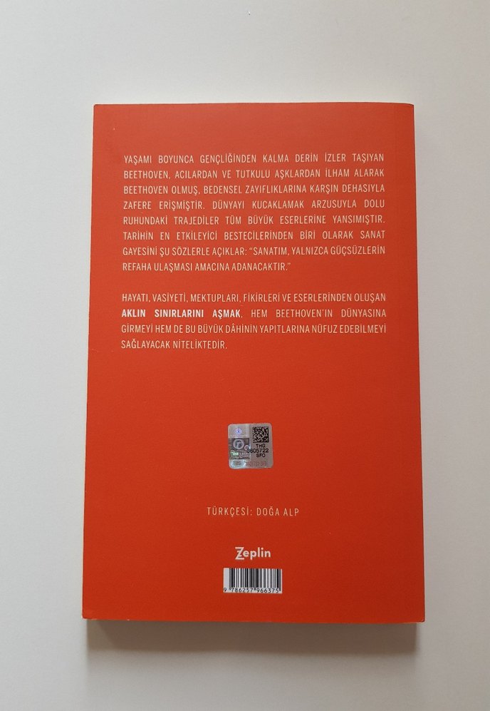 Beethoven: Aklın Sınırlarını Aşmak - Görsel 3