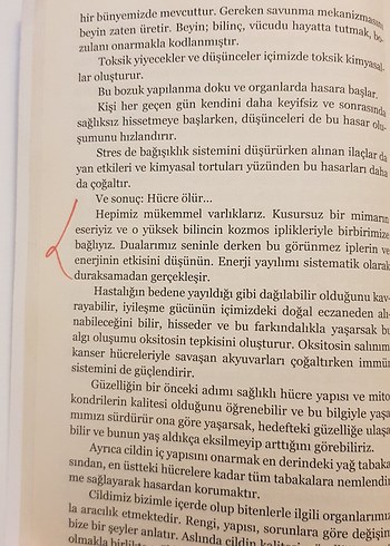 Güzelliğin Kitabı - Ünzile Zeynep Avcı - Görsel 3