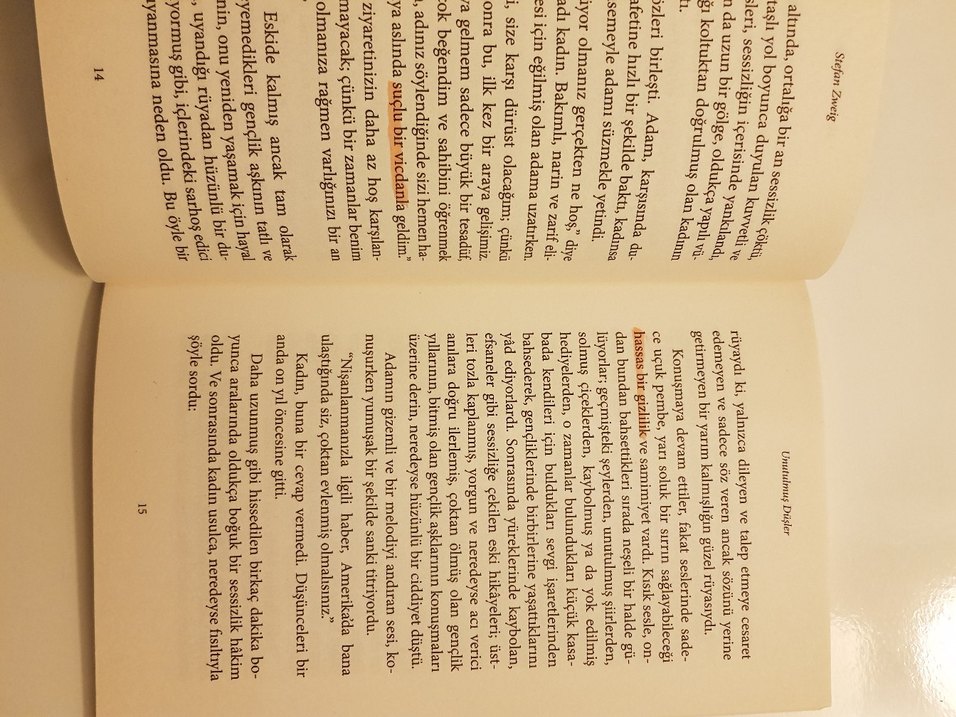 Stefan Zweig - Unutulmuş Düşler Romanı - Görsel 5