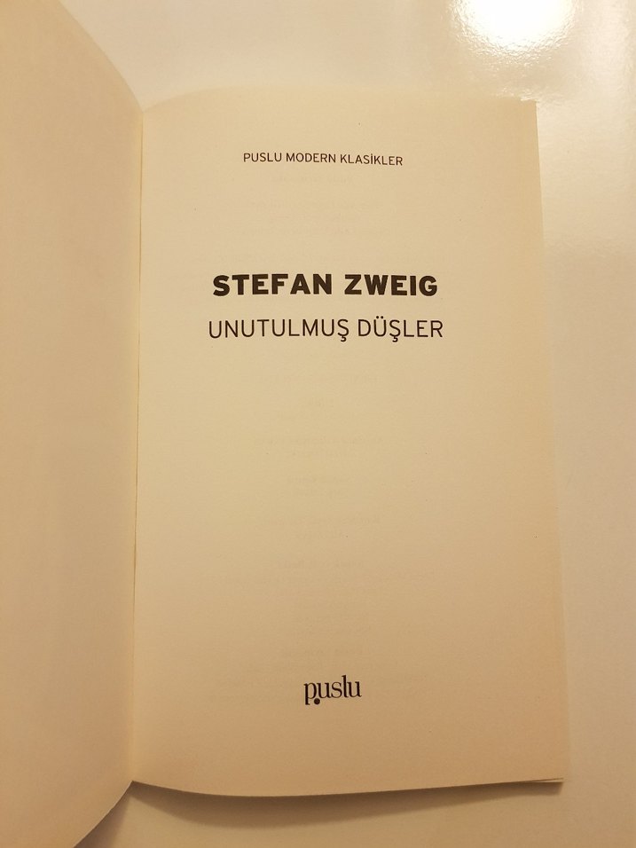 Stefan Zweig - Unutulmuş Düşler Romanı - Görsel 3