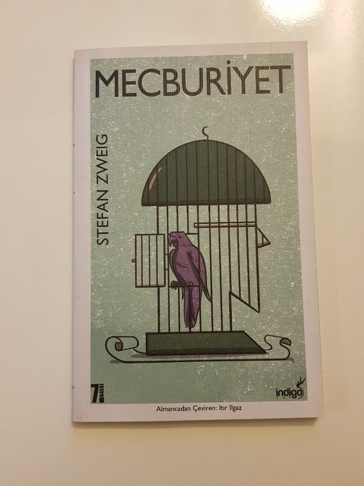 Mecburiyet - Stefan Zweig - Görsel 2