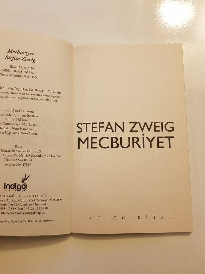 Mecburiyet - Stefan Zweig - Görsel 5