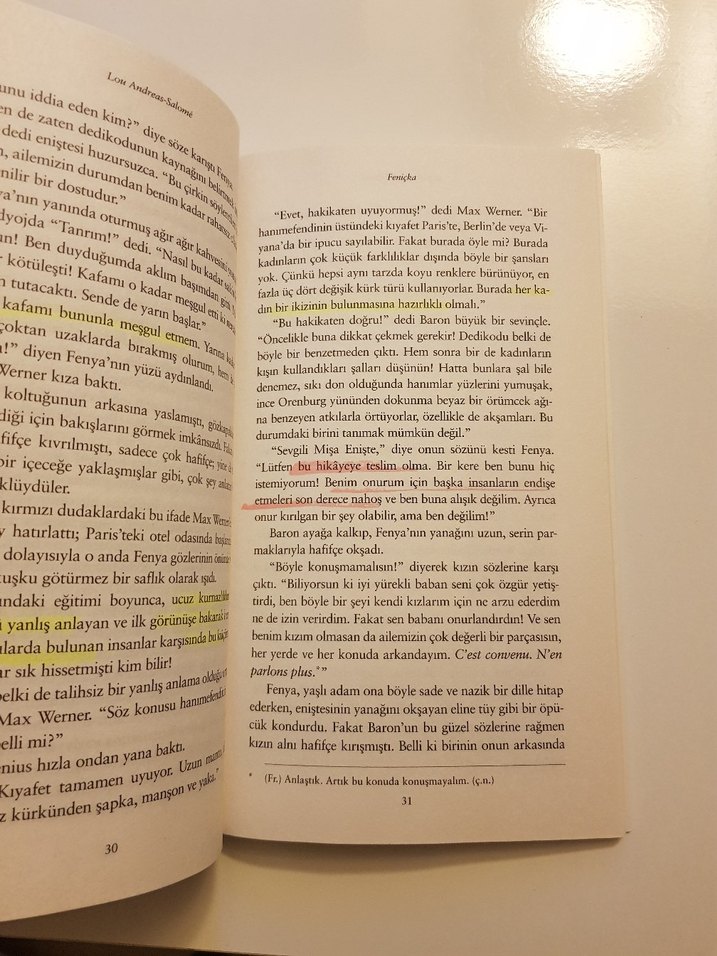 Feniçka - Lou Andreas-Salomé - Görsel 5