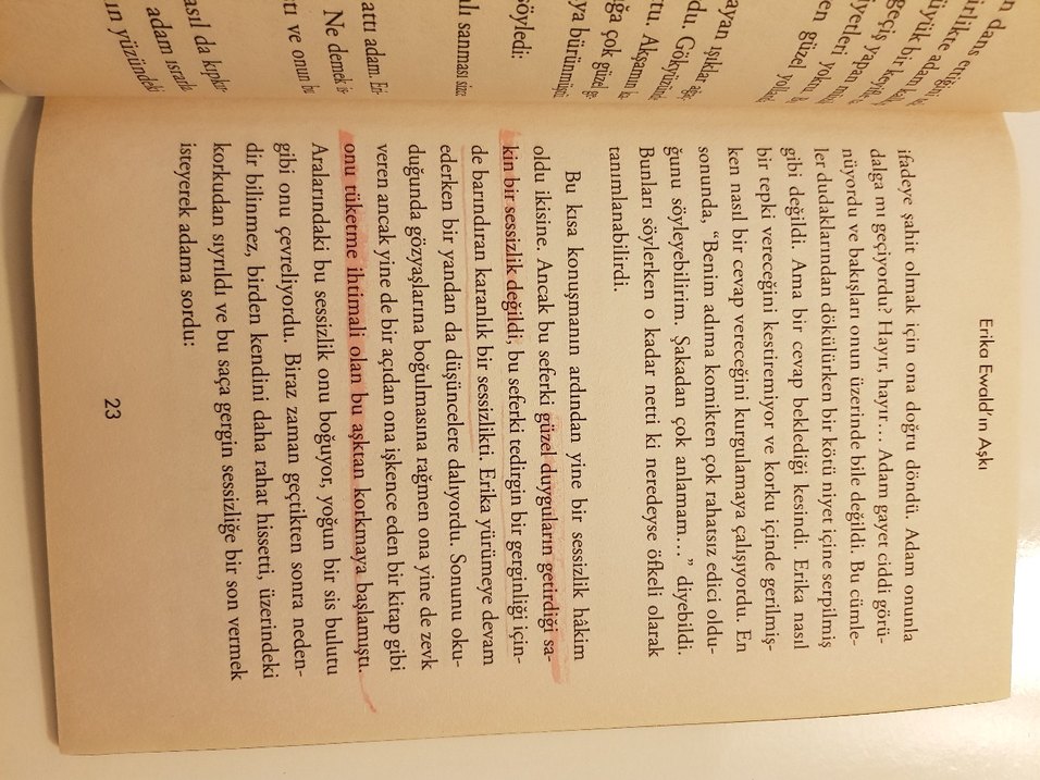 Erika Ewald'ın Aşkı - Stefan Zweig - Görsel 4