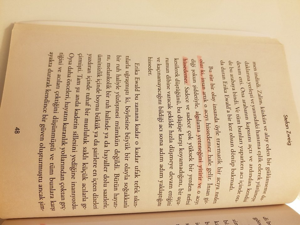 Erika Ewald'ın Aşkı - Stefan Zweig - Görsel 5