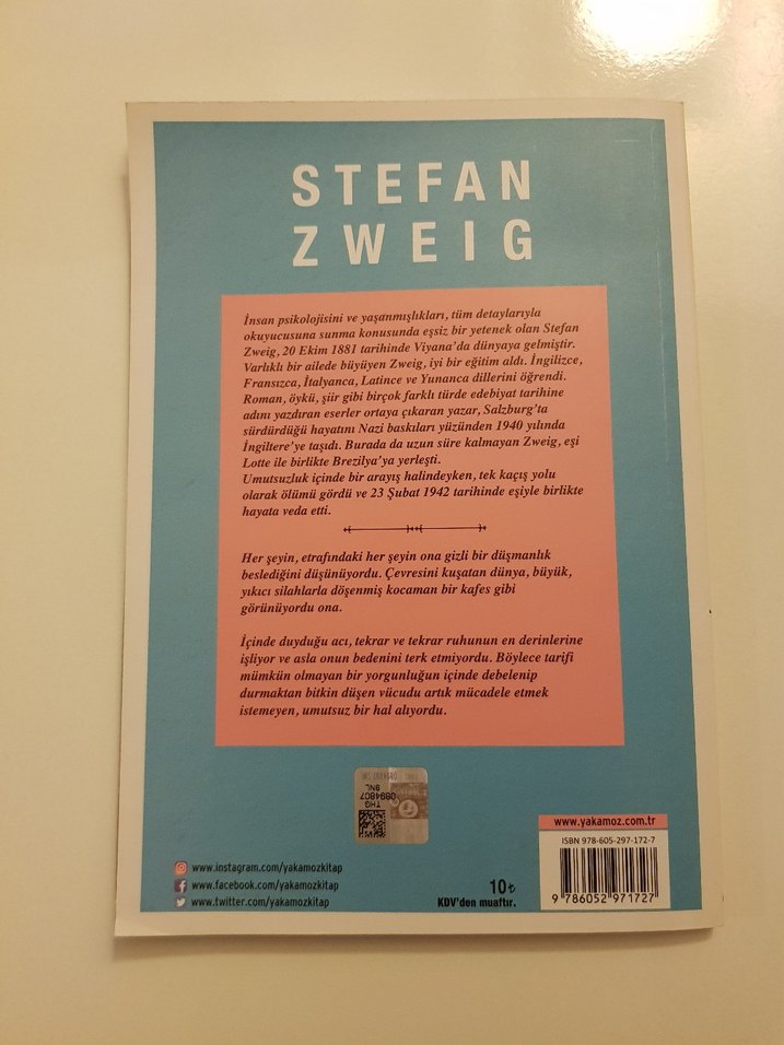 Erika Ewald'ın Aşkı - Stefan Zweig - Görsel 3