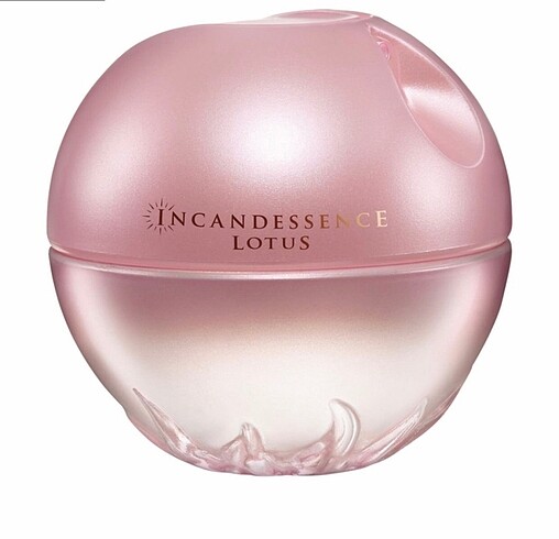 İncandes lotus