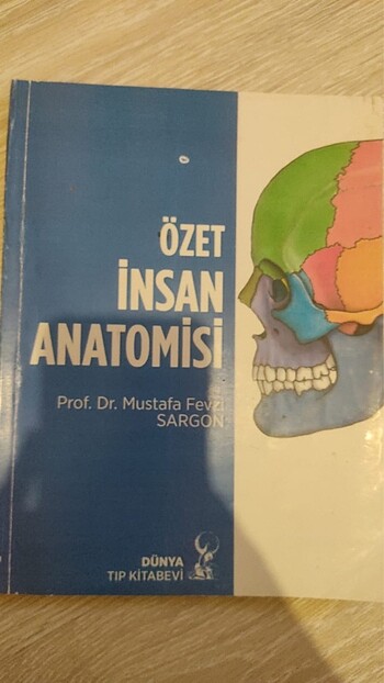 Özet İnsan Anatomisi
