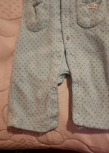 2 Carters ve 1 Cichlid polar tulum - Görsel 14