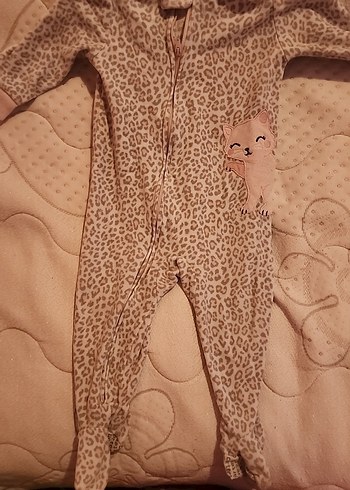 2 Carters ve 1 Cichlid polar tulum - Görsel 6