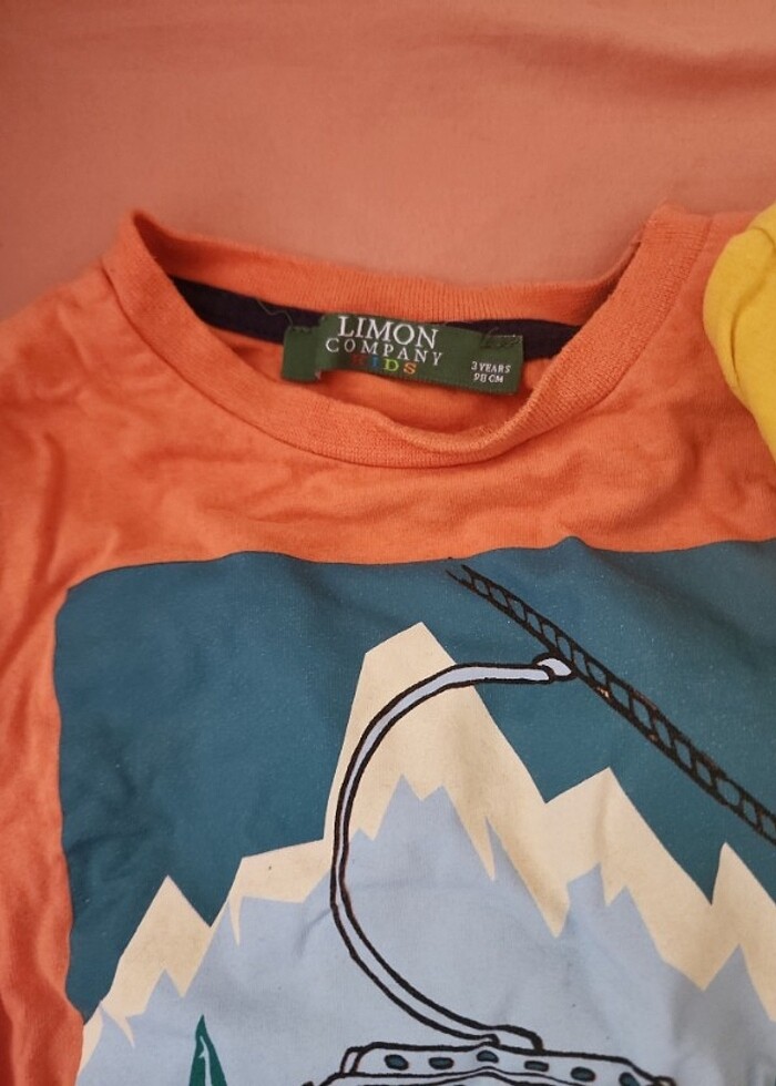 3 adet limon company ve 1 adet lc waikiki tshirt - Görsel 3
