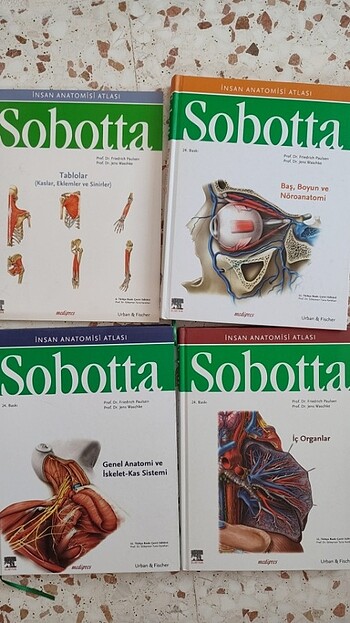 sobotta anatomi 24. baskı 