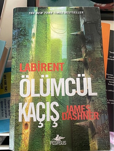 Labirent Ölümcül Kaçış
