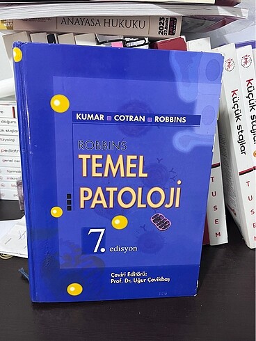Orijinal Robbins patoloji