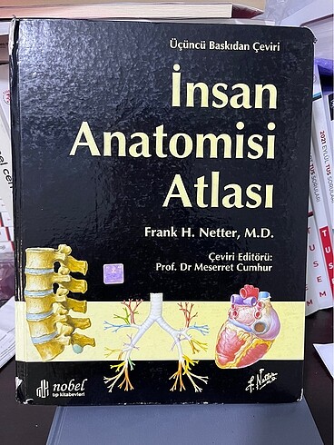 Netter anatomi