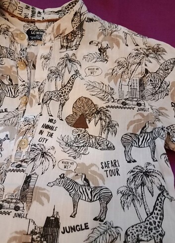 LC Waikiki Lcw alt üst takim