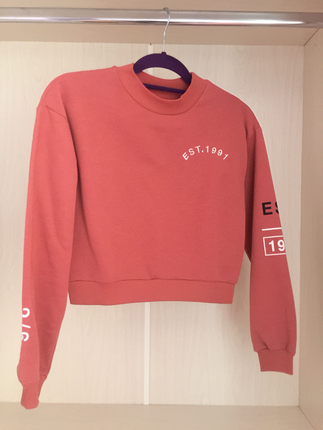 xs Beden pembe Renk Topshop kazak