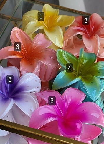 Aloha toka 