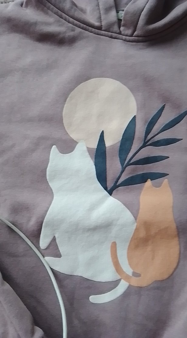 Baskılı Pastel Renkli kız çocuk sweatshirt - Görsel 3