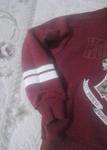 Bordo Baskılı Erkek Sweatshirt Kapüşonlu - Görsel 3