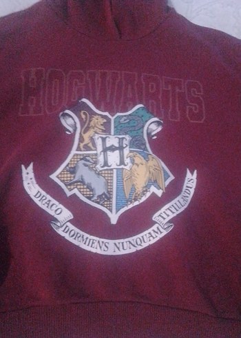 Bordo Baskılı Erkek Sweatshirt Kapüşonlu - Görsel 2