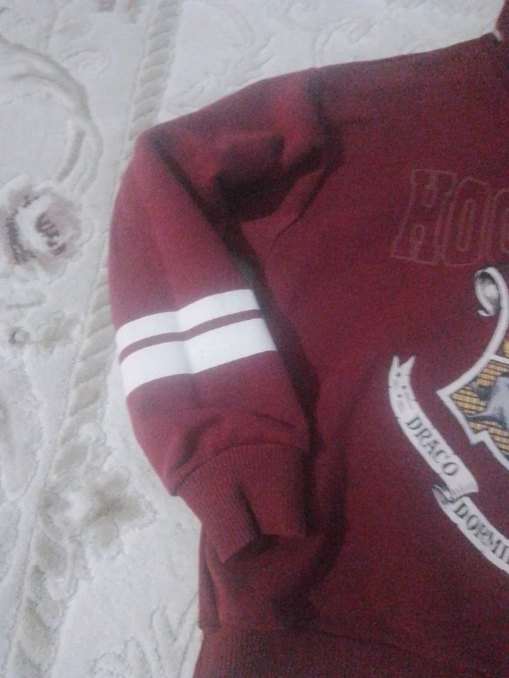 Bordo Baskılı Erkek Sweatshirt Kapüşonlu - Görsel 3