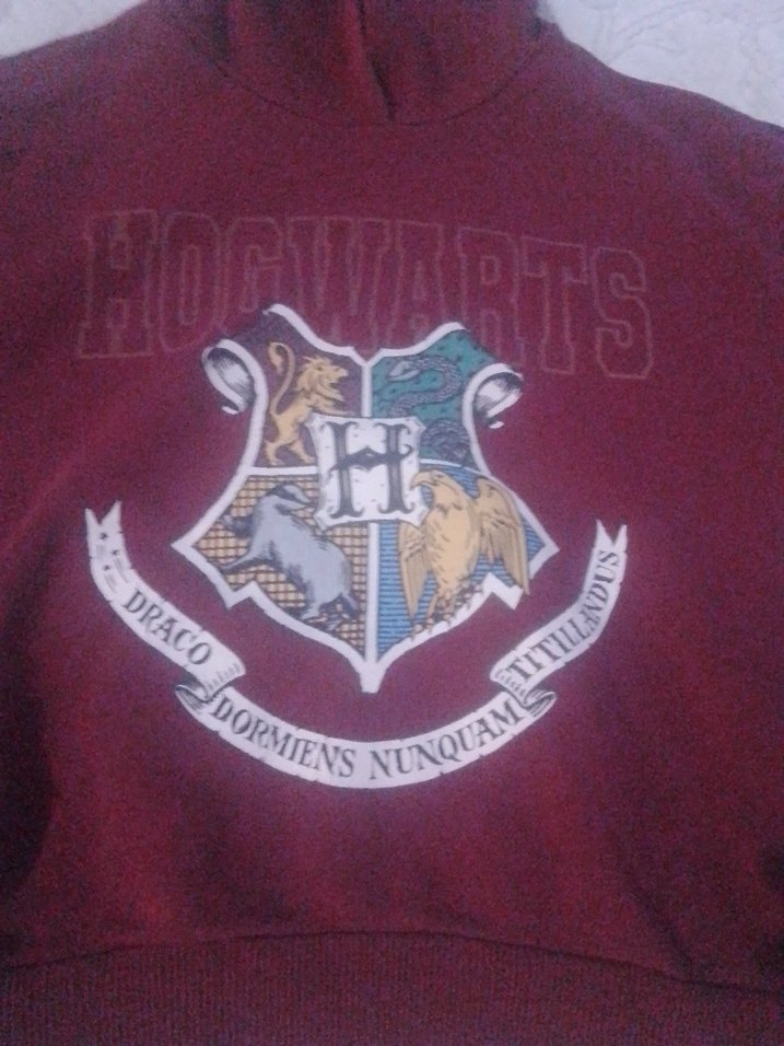 Bordo Baskılı Erkek Sweatshirt Kapüşonlu - Görsel 2