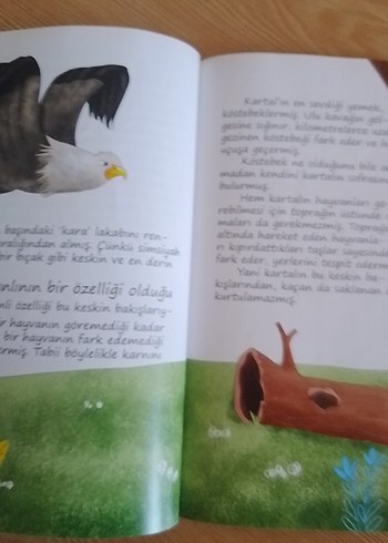 Yarışı Yavaşlar Kazanır - Hatice Kübra Tongar