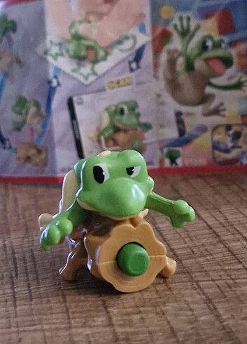 Kinder kalem kaplumbağa 